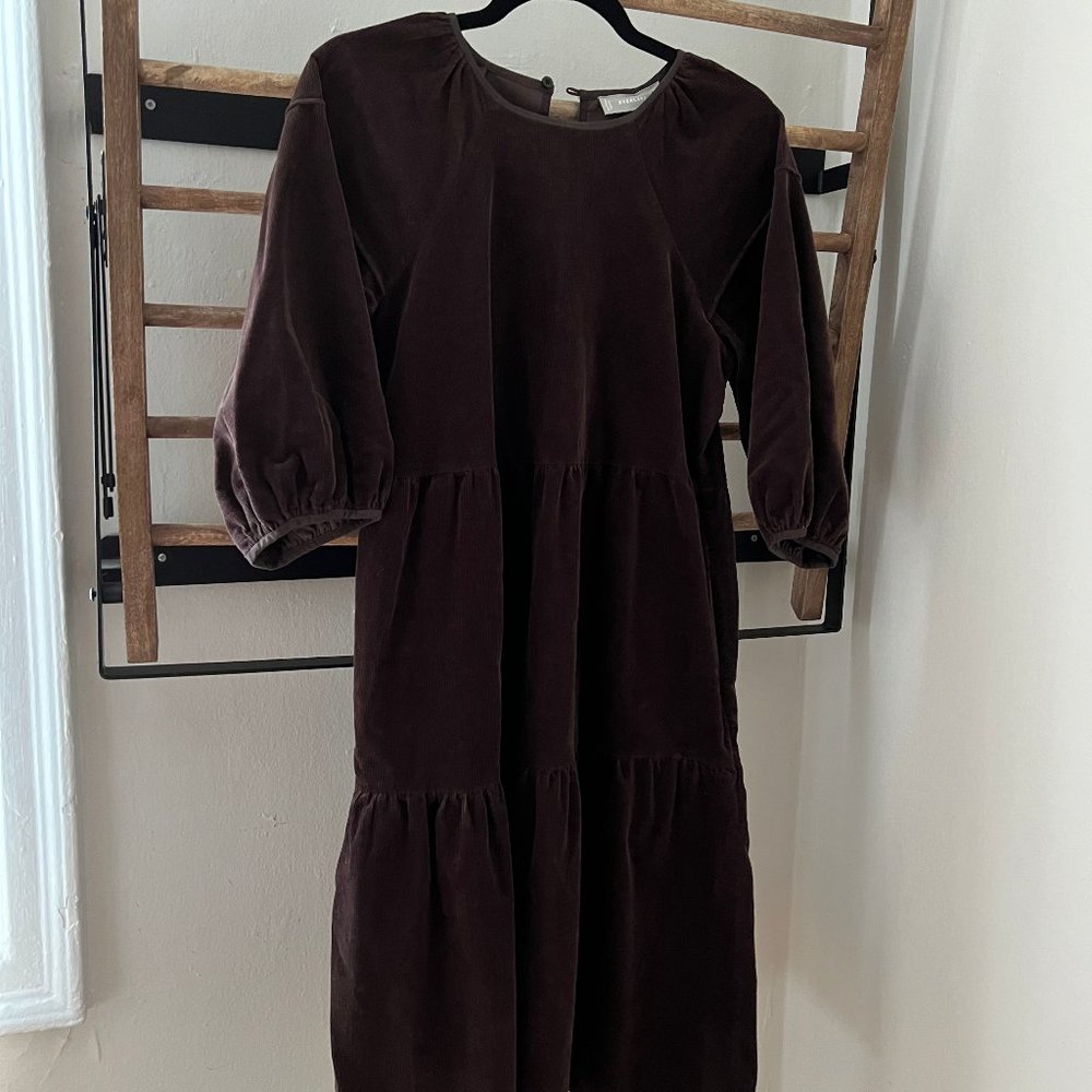 Everlane Brown Corduroy